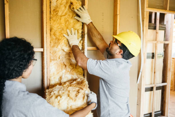 Eco-Friendly or Green Insulation Solutions in Grandview Heights, OH